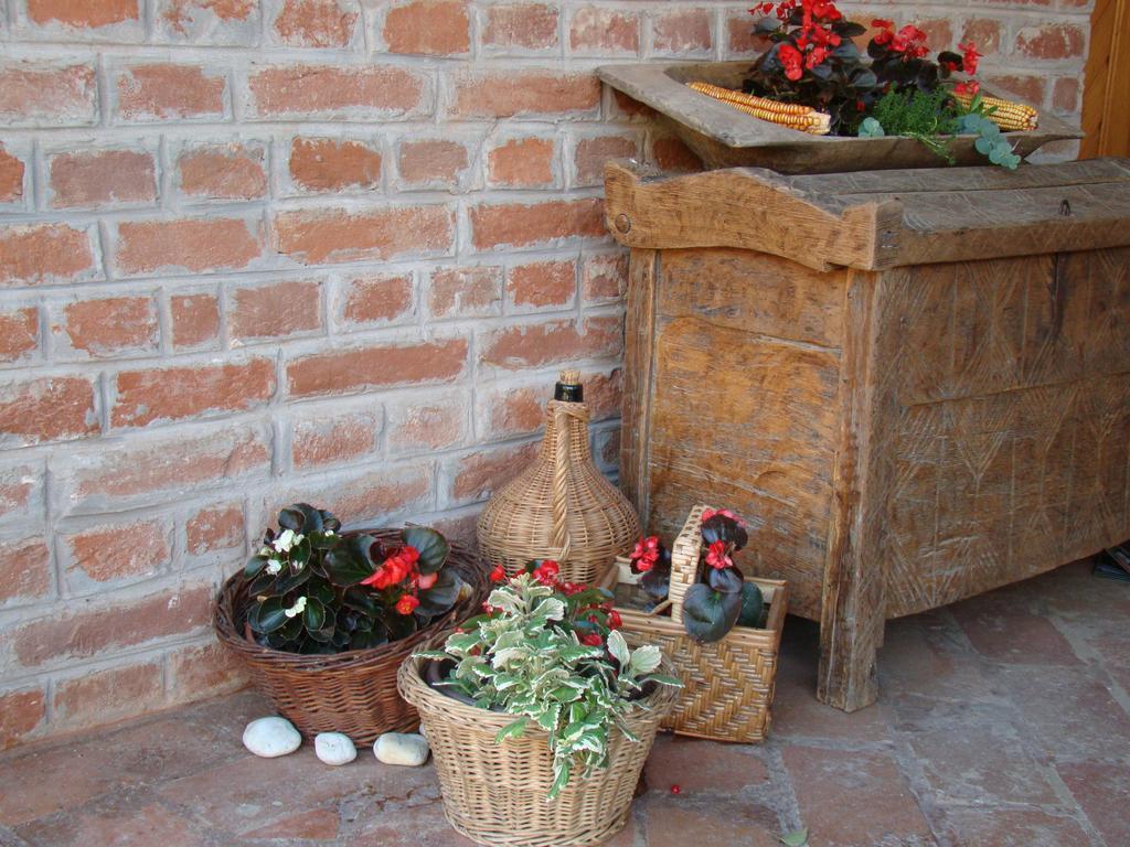 Country House Tunjina kuca Stara Kapela Guest House Pavlovci Bagian luar foto
